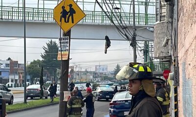 Video: Dejan restos humanos en puente de Ciudad Univesitaria en Toluca