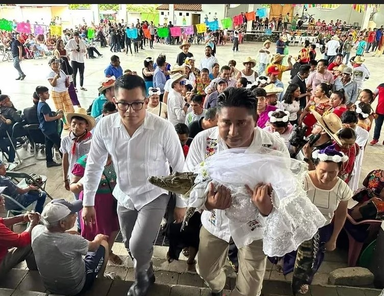 Video: Alcalde de Huamelula, Oaxaca se casó con un caimán como ritual de prosperidad