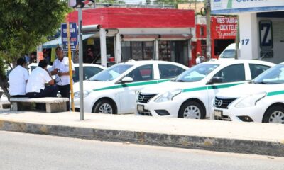 Perderían concesión 41 taxistas de Quintana Roo por participar en ataques a turistas y conductores de Uber.