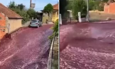 Video: Un pueblo de Portugal se inundó de vino tinto