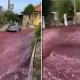 Video: Un pueblo de Portugal se inundó de vino tinto