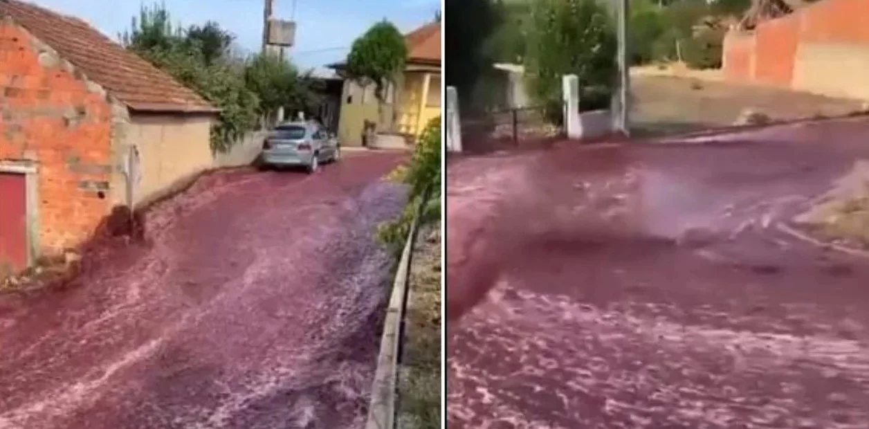 Video: Un pueblo de Portugal se inundó de vino tinto