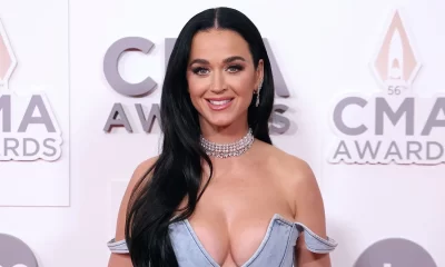 Katty Perry ambiental