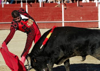 Corridas de toros sin violencia en la CDMX Congreso aprueba nueva regulacion con 61 votos a favor