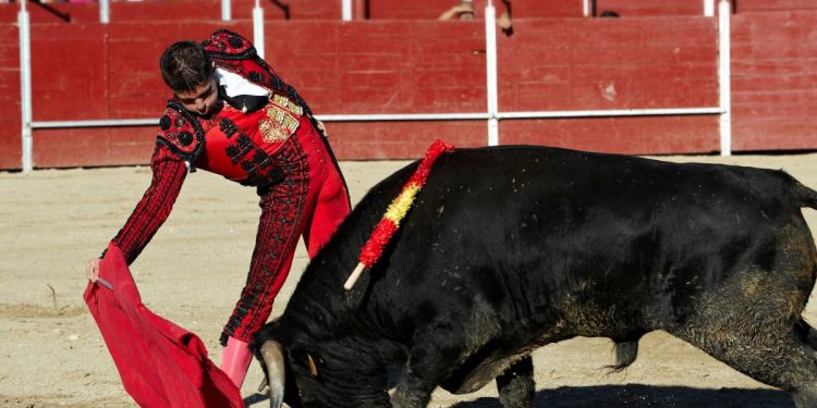 Corridas de toros sin violencia en la CDMX Congreso aprueba nueva regulacion con 61 votos a favor
