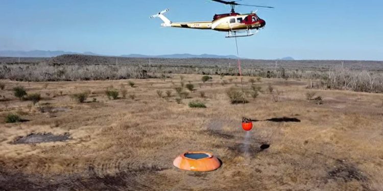 Incendio en Gonzalez Tamaulipas Controlado al 90 y Liquidado en un 80