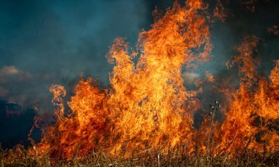 Incendios Forestales