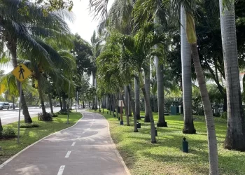 Los mejores parques para hacer ejercicio en Cancún
