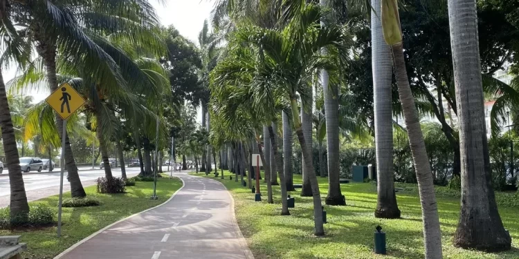 Los mejores parques para hacer ejercicio en Cancún