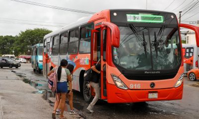 Modernizar el transporte público