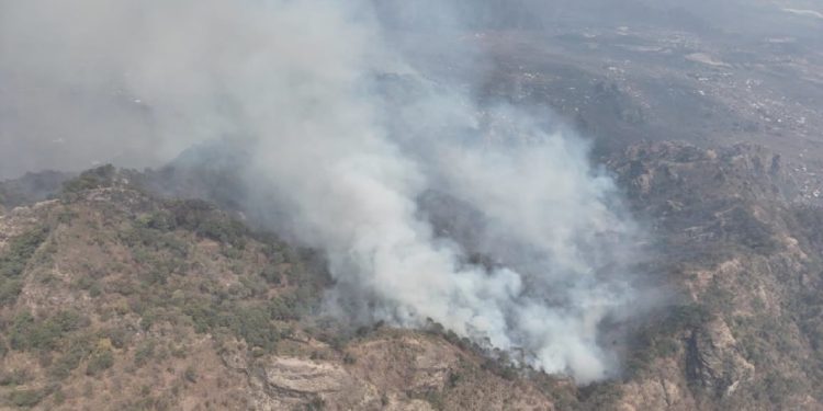 41 incendios forestales activos en México