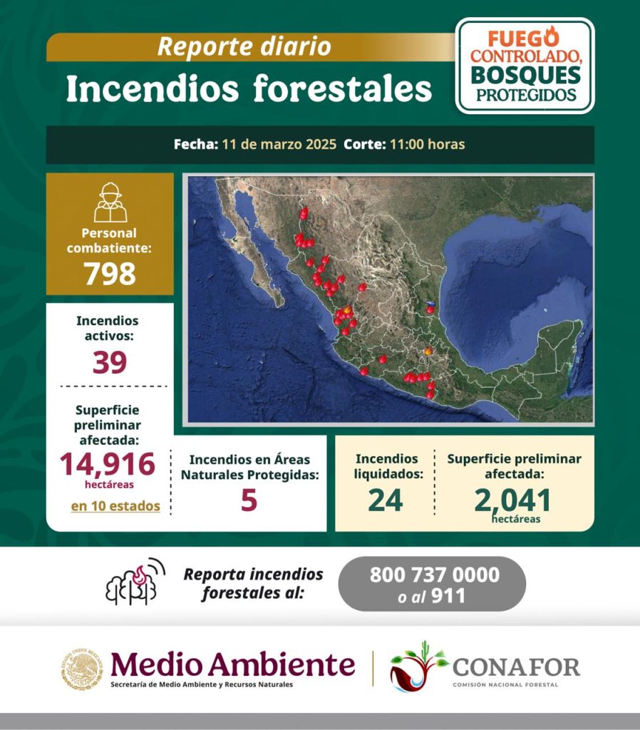 incendios forestales 3