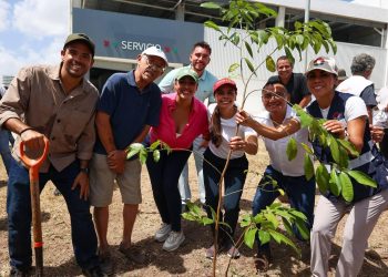 Ana Paty Peralta realiza arborización con motivo del Día Internacional de la Madre Tierra