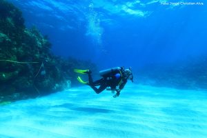 ¿Cuáles son los arrecifes de coral más importantes en Cancún?