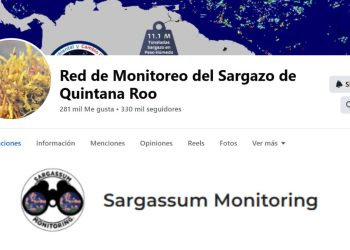 Aplicaciones para monitorear el sargazo en Cancun