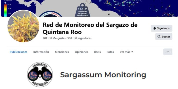 Aplicaciones para monitorear el sargazo en Cancun