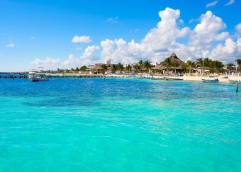 Como evitar el sargazo en las playas de Cancun Todo lo que necesitas saber