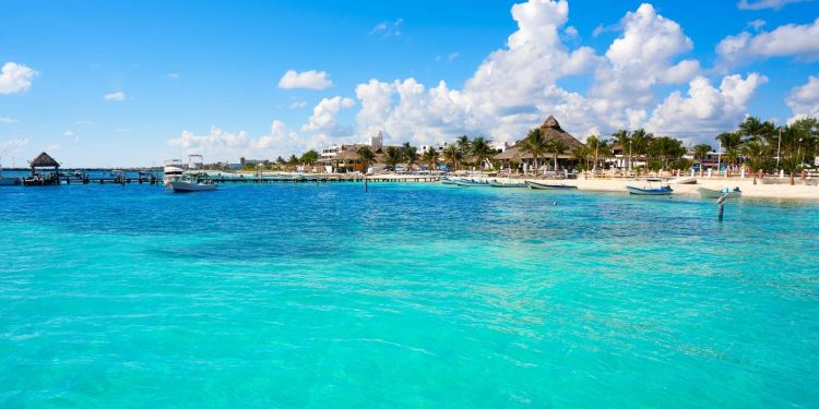 Como evitar el sargazo en las playas de Cancun Todo lo que necesitas saber