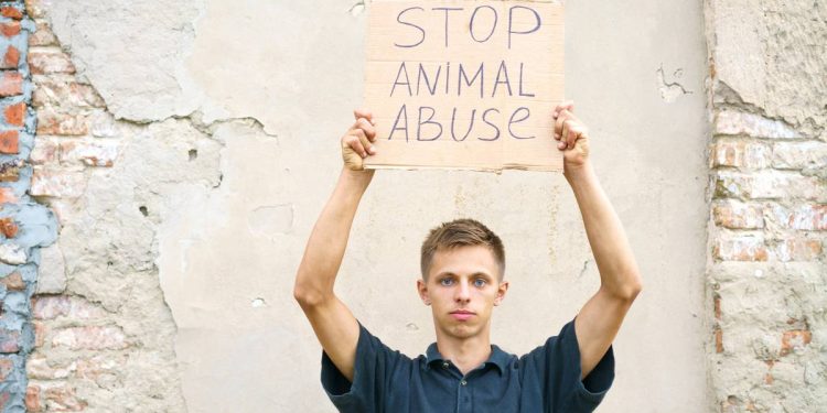 Como identificar señales de maltrato animal en Cancun