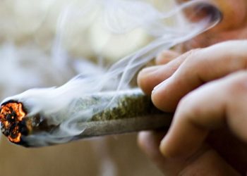 ¿Cuál es el consumo de drogas más común en Cancún?