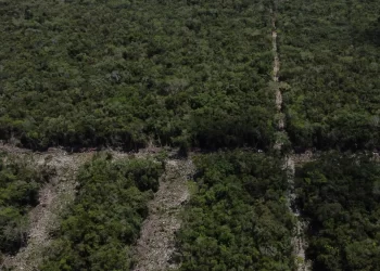 ¿Dónde buscar opciones de compra de terrenos en Cancún?