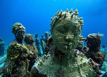 ¿Qué proyectos de conservación marina existen en Cancún?