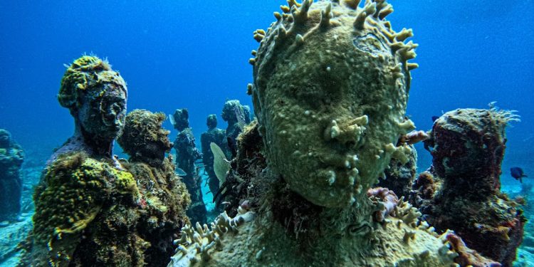 ¿Qué proyectos de conservación marina existen en Cancún?