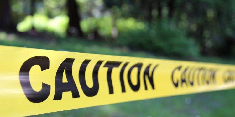 Hallan siete fosas en Culiacan ​
