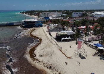 Hay sargazo en Cancun en 2025 Mantente informado