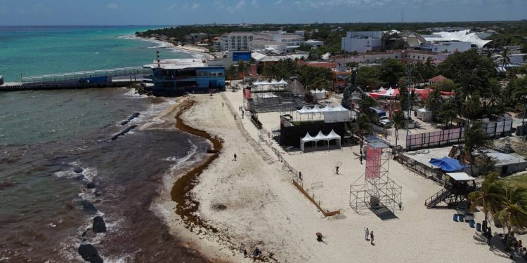 Hay sargazo en Cancun en 2025 Mantente informado