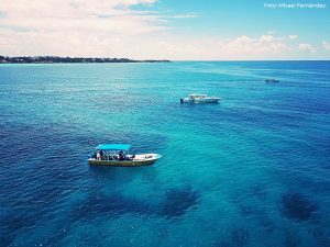 ¿Cuáles son los arrecifes de coral más importantes en Cancún?