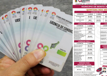 Licencias