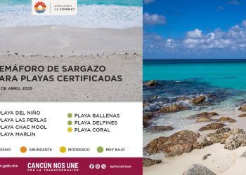 Playas de Cancun sin sargazo en 2025 Ubicaciones y recomendaciones