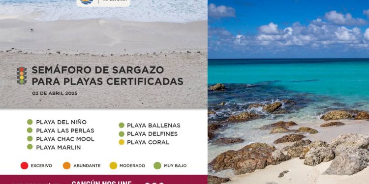 Playas de Cancun sin sargazo en 2025 Ubicaciones y recomendaciones