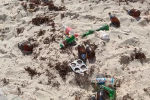 ¿Qué tan contaminadas están las playas de Cancún?