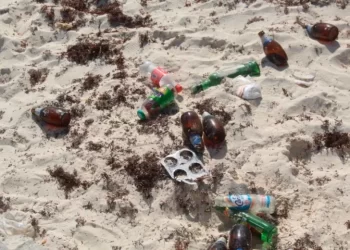 ¿Qué tan contaminadas están las playas de Cancún?