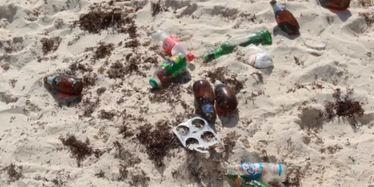 ¿Qué tan contaminadas están las playas de Cancún?