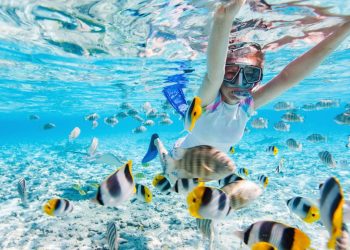 Playas en Cancun ideales para practicar snorkel los mejores lugares para descubrir el mundo submarino