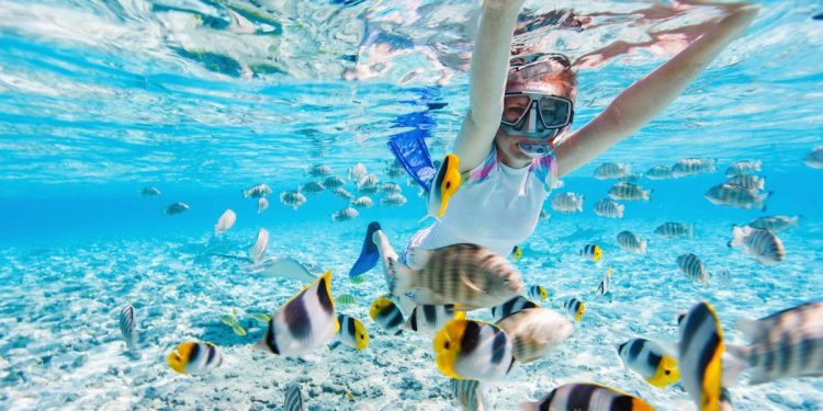 Playas en Cancun ideales para practicar snorkel los mejores lugares para descubrir el mundo submarino
