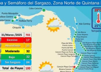 Playas en Isla Mujeres sin sargazo en 2025 Descubre los paraisos libres de algas