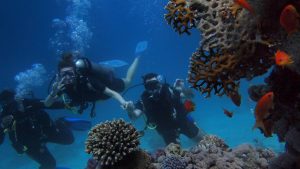 Por que Cancun es un paraiso para el snorkel