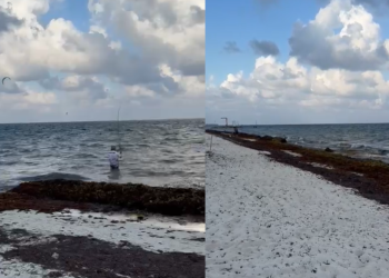 Puerto Morelos tiene sargazo en 2025