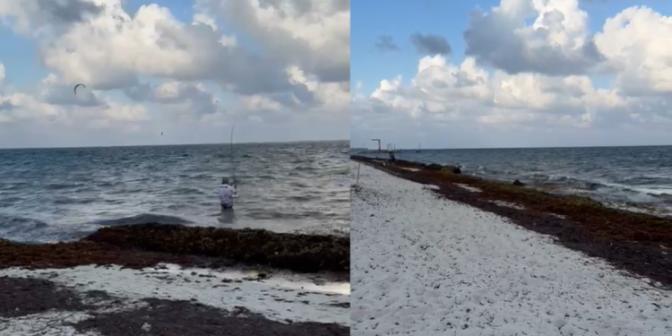 Puerto Morelos tiene sargazo en 2025