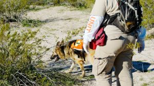 Que esta ocurriendo en Cancun en marzo de 2025