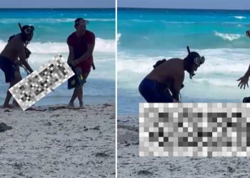 Recalan restos de turista desaparecido en playa de Cancun que ocurrio realmente