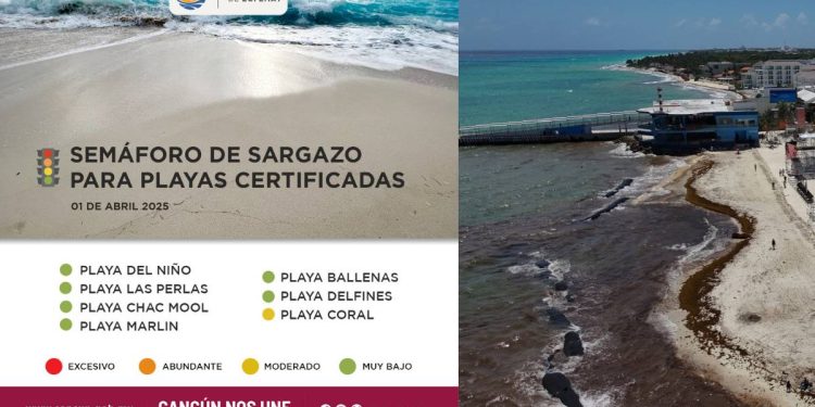 Reportes oficiales sobre el sargazo en Cancun en 2025