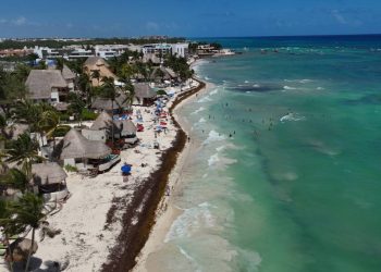 Temporada de sargazo en Cancun 2025 lo que debes saber