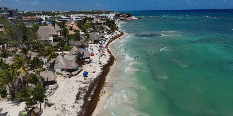 Temporada de sargazo en Cancun 2025 lo que debes saber