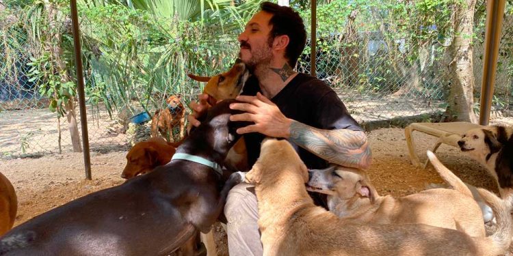 Testimonios de rescatistas de animales en Cancún