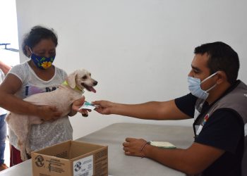 La segunda oportunidad: adoptar tras un rescate en Cancún